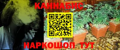 Альфа ПВП Пенза