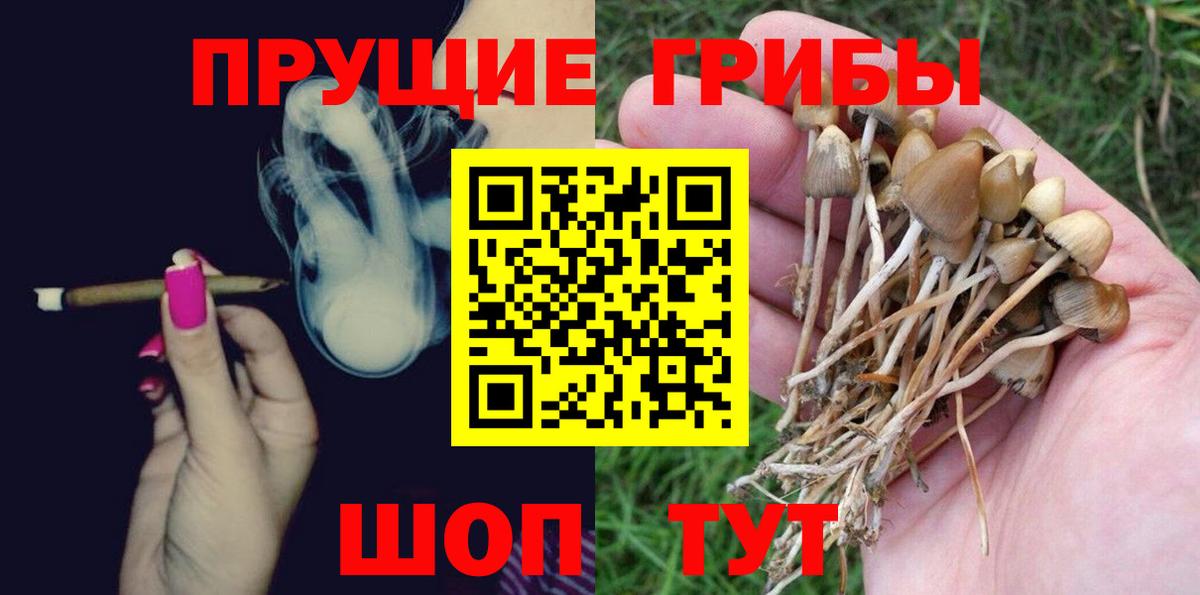 Галлюциногенные грибы Psilocybine cubensis  Вход с VPN  Ставрополь 